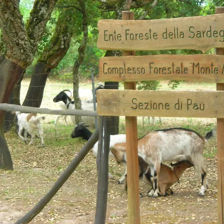 Dom wakacyjny Casa Murroni