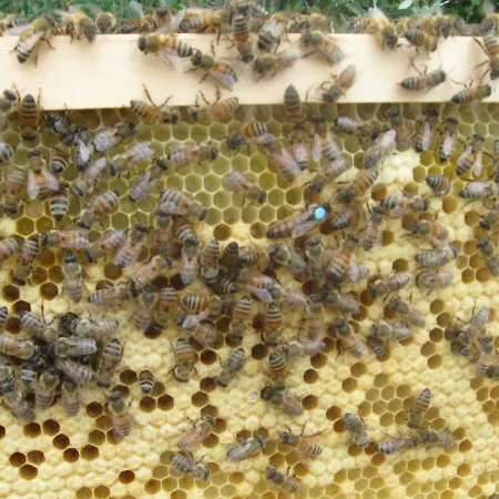 Casa Murroni Dom wakacyjny *