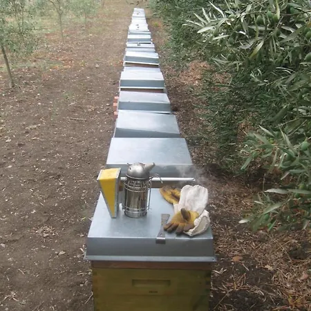 Feriehus Casa Murroni Pau