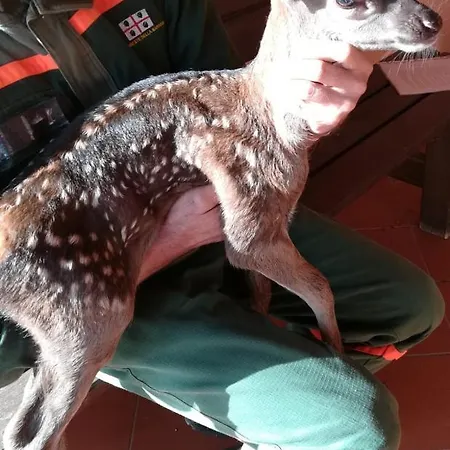 Dom wakacyjny Casa Murroni *