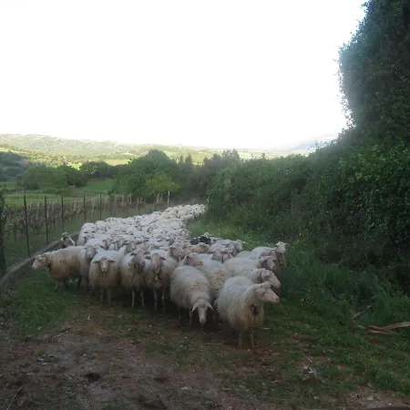 Dom wakacyjny Casa Murroni *