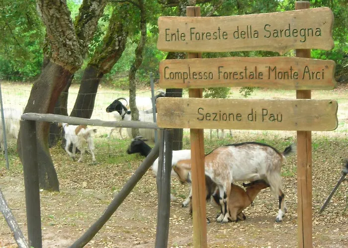 Casa vacanze Casa Murroni