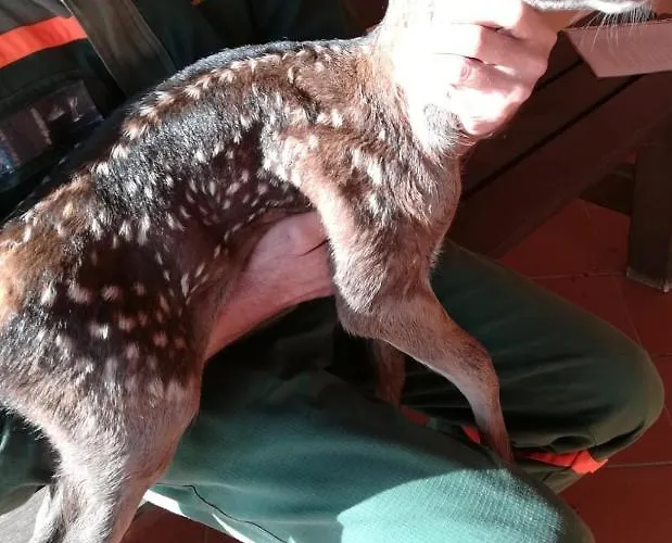 Casa vacanze Casa Murroni *