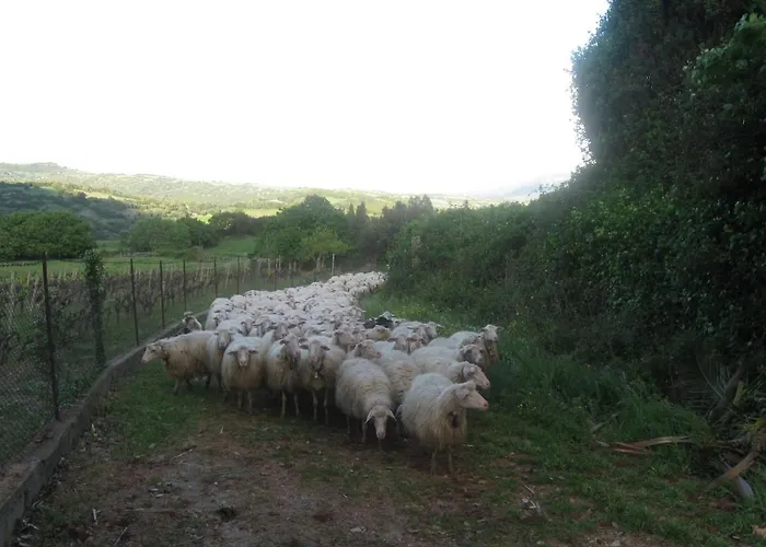 Casa vacanze Casa Murroni *